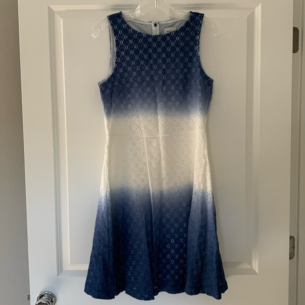 Blue and white ombré lace tank dress.